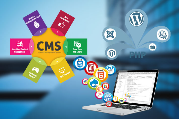 CMS Web Designing Company in Bhayandar, Mumbai